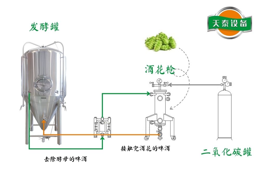 釀IPA的酒花干投怎么操作？